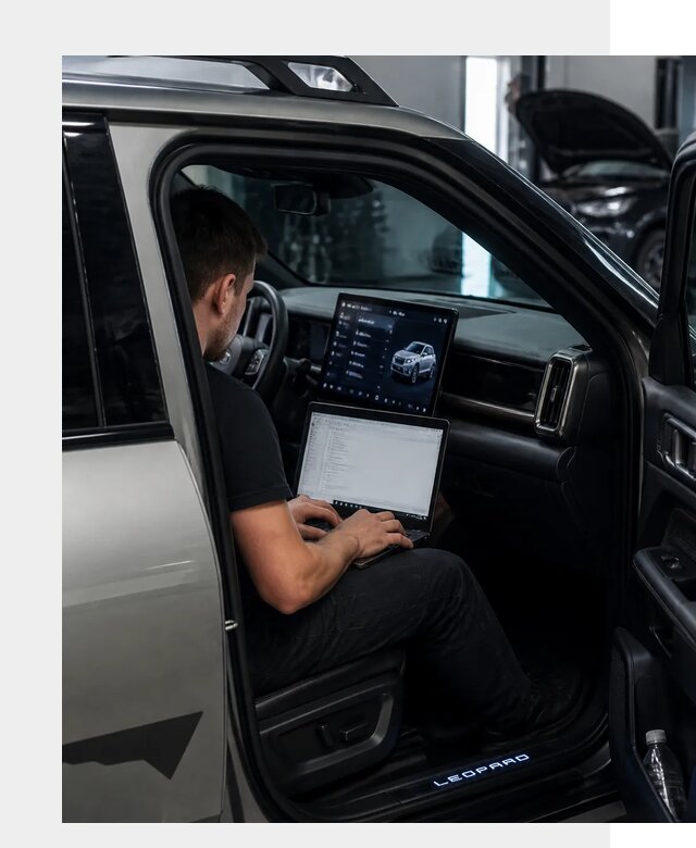Русификация BYD Leopard 3 в Тынде по цене от 20451 р. | ФастМобиль-Тнд